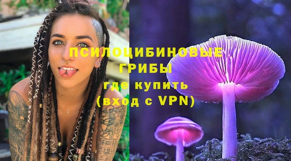 круглые Корсаков