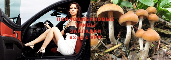 герыч Кодинск