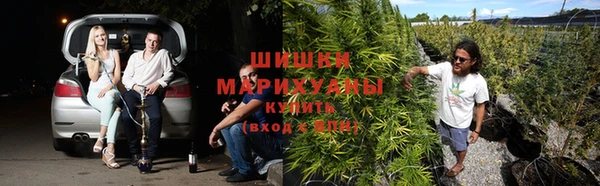 первитин Коряжма