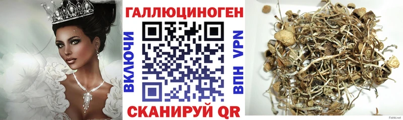 Галлюциногенные грибы GOLDEN TEACHER  Кулебаки 